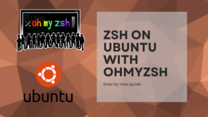 Read more about the article ZSH on Ubuntu with OhMyZSH